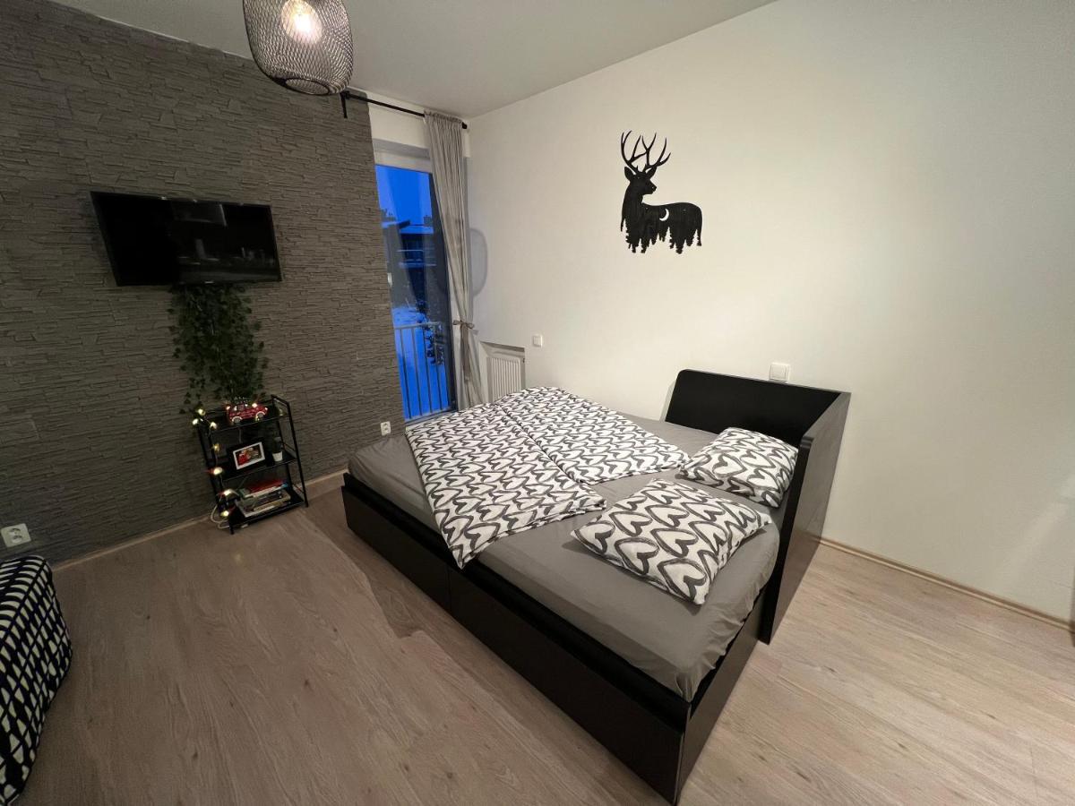 New Nelis Apartment Klinovec Лоучна-под-Клиновцем Экстерьер фото